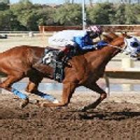 today's horse racing results today|Rillito Park Horse Racetrack .